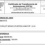 CETA AFIP CHICO NUEVO
